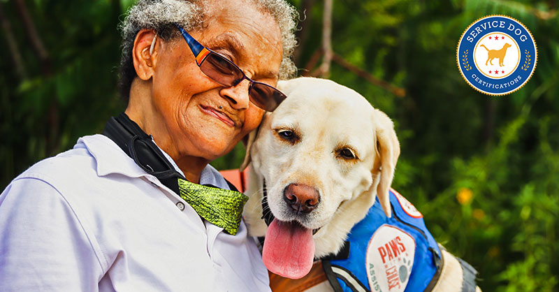 Retired service best sale dogs for seniors