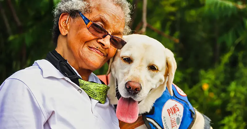 Service Dog for Seniors - Service Dog Certifications