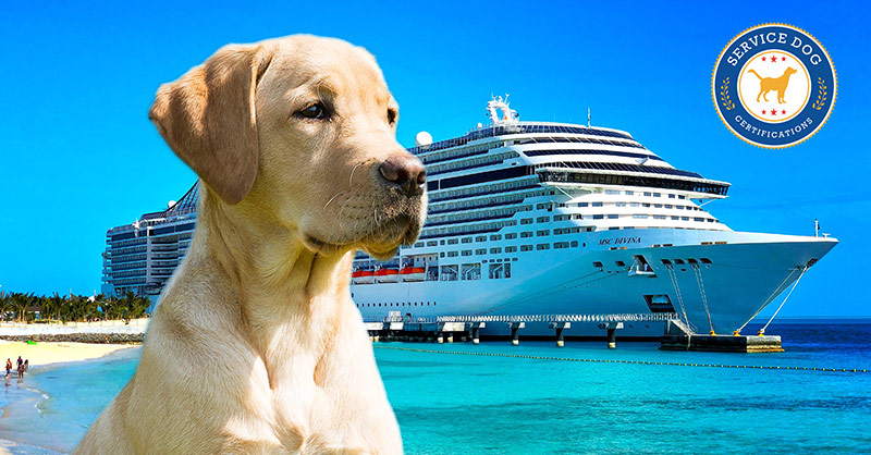 norwegian cruise line dogs