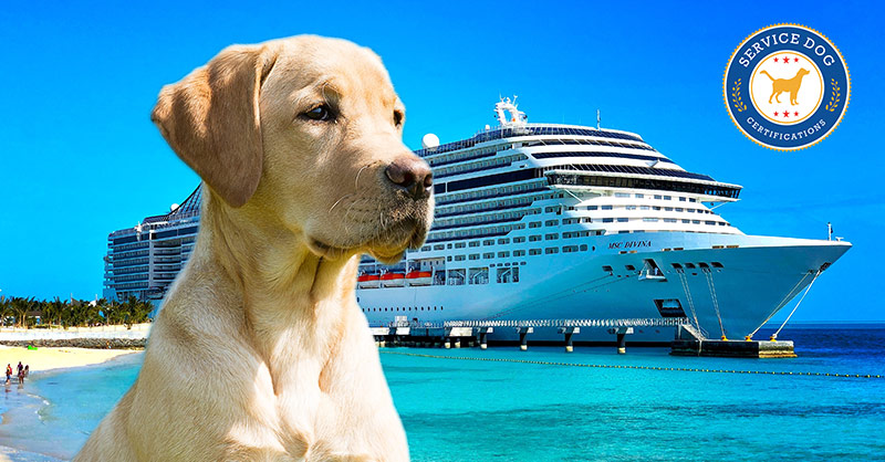 cruise ship service dog