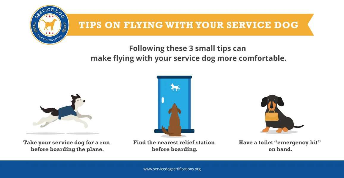 Tips on Flying with Your Service Dog - Infographic - ServiceDogCertifications