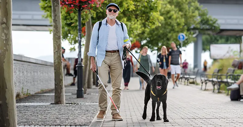 The Benefits of a Service Dog for Seniors - ServiceDogCertifications