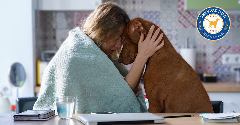 How To Get A Service Dog For Anxiety