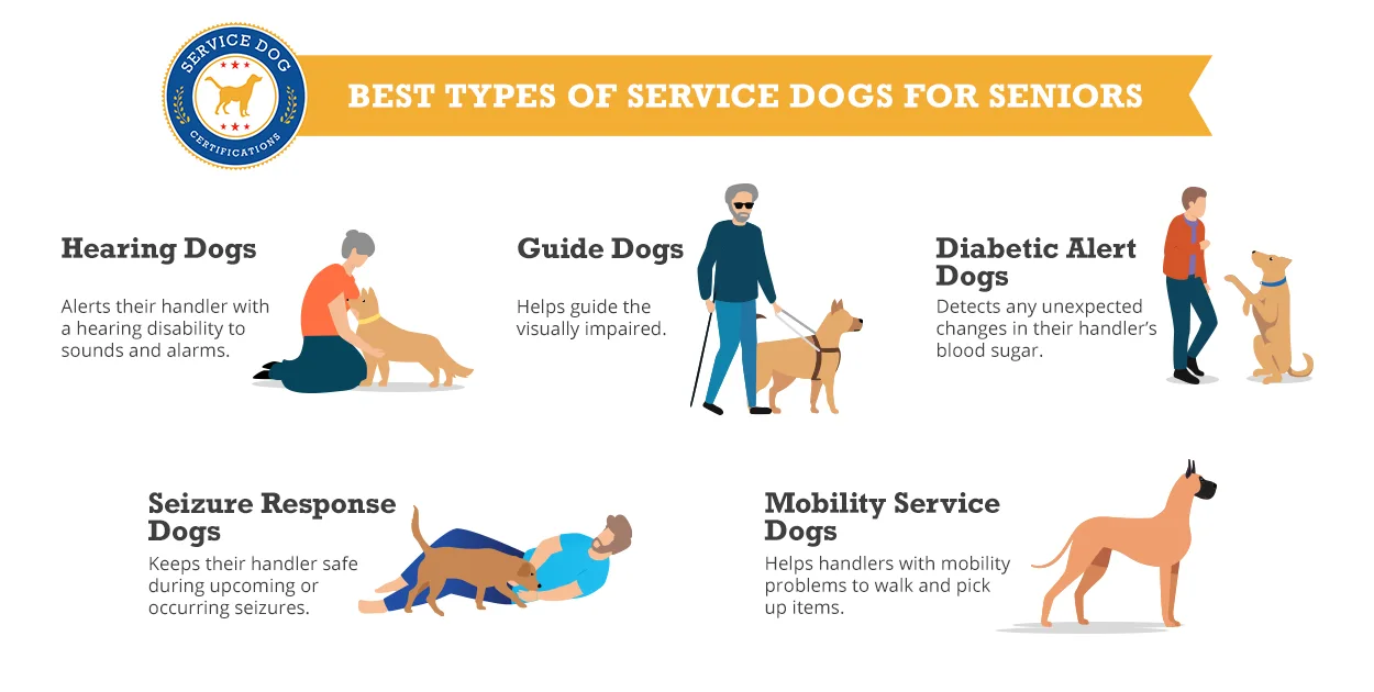 Type of service sales dogs