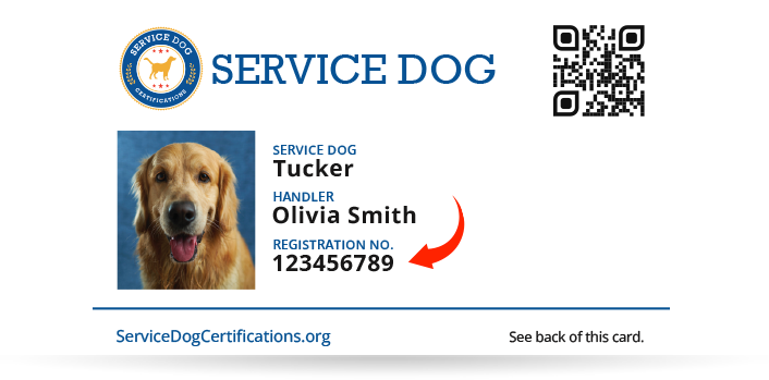 Search Registry - Service Dog Certifications