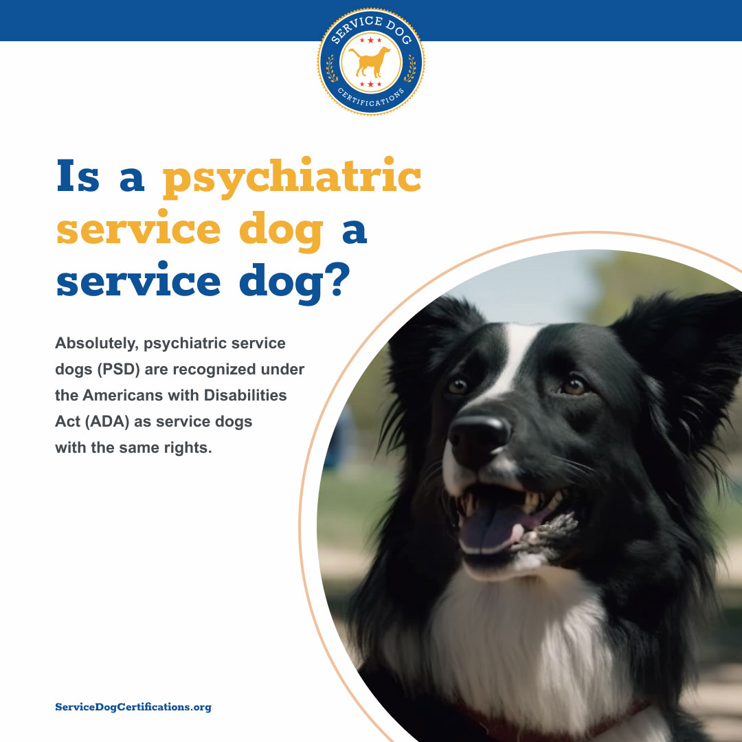 PSDs are recognized under the ADA as service dogs