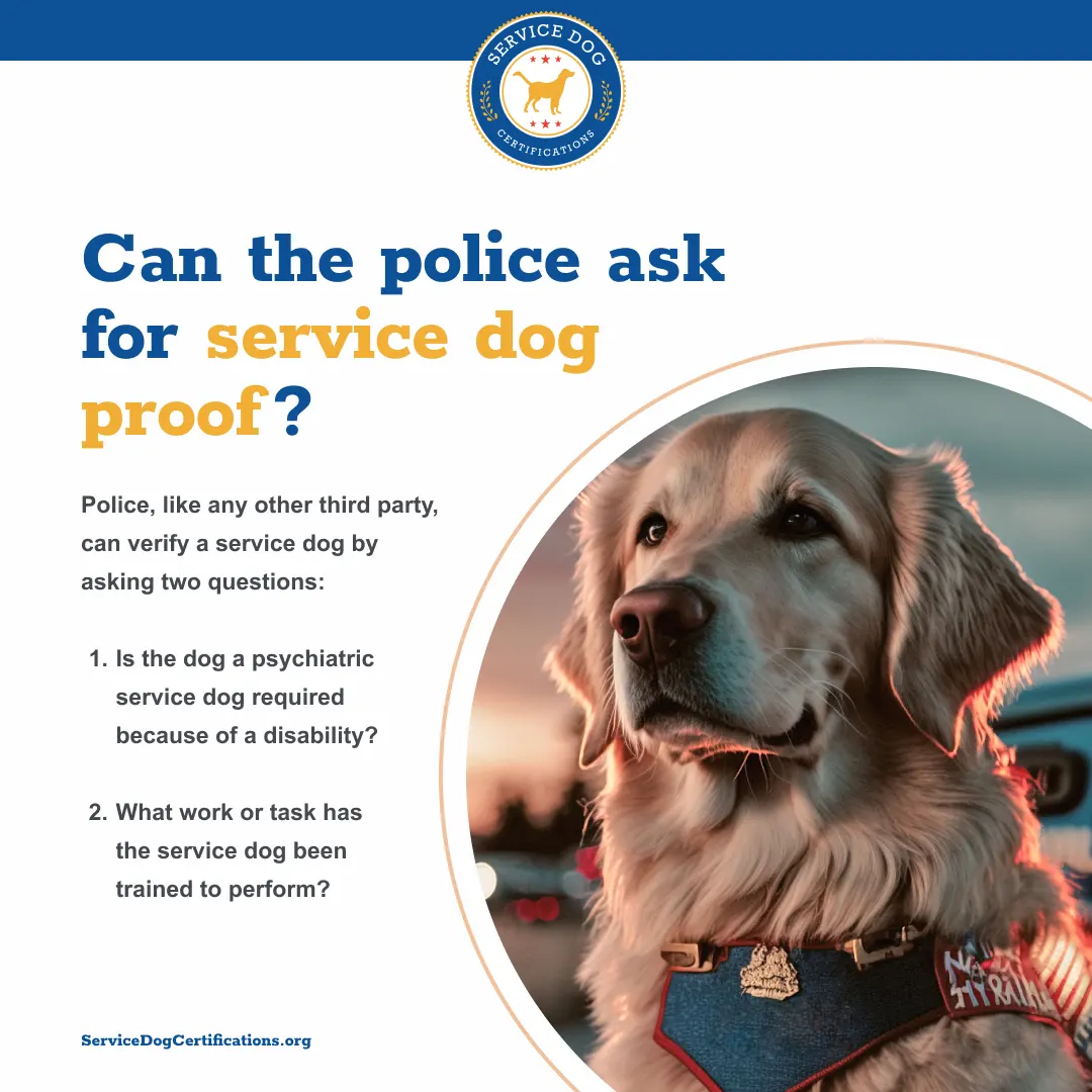 Can the Police Ask for Service Dog Proof?