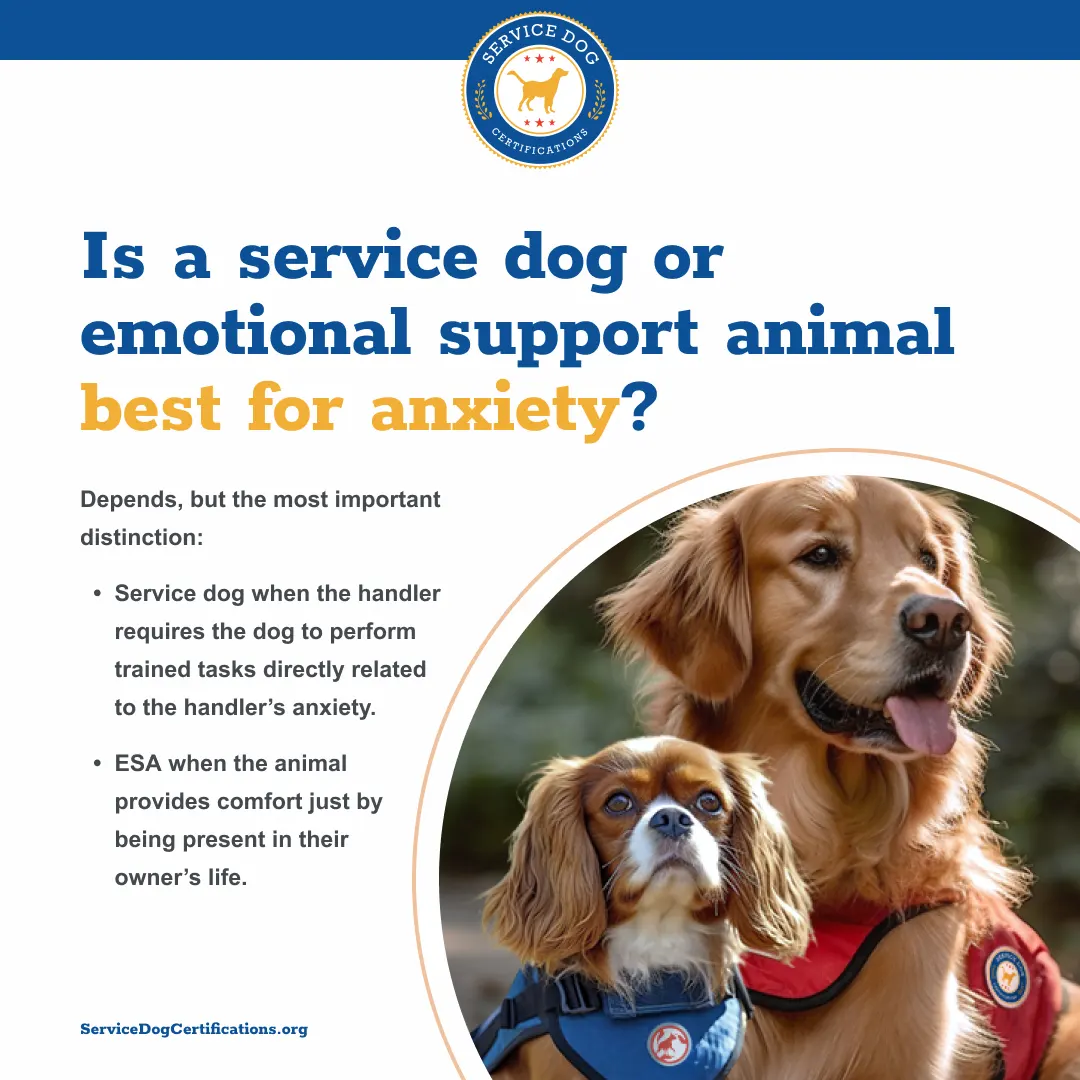 Is a Service Dog or Emotional Support Animal Best for Anxiety?
