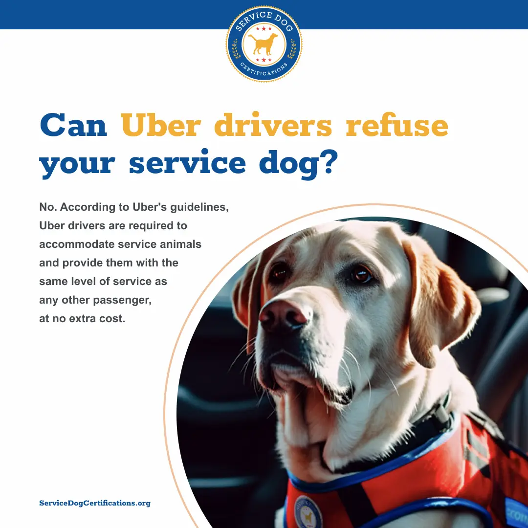 Can Uber Drivers Refuse Your Service Dog?