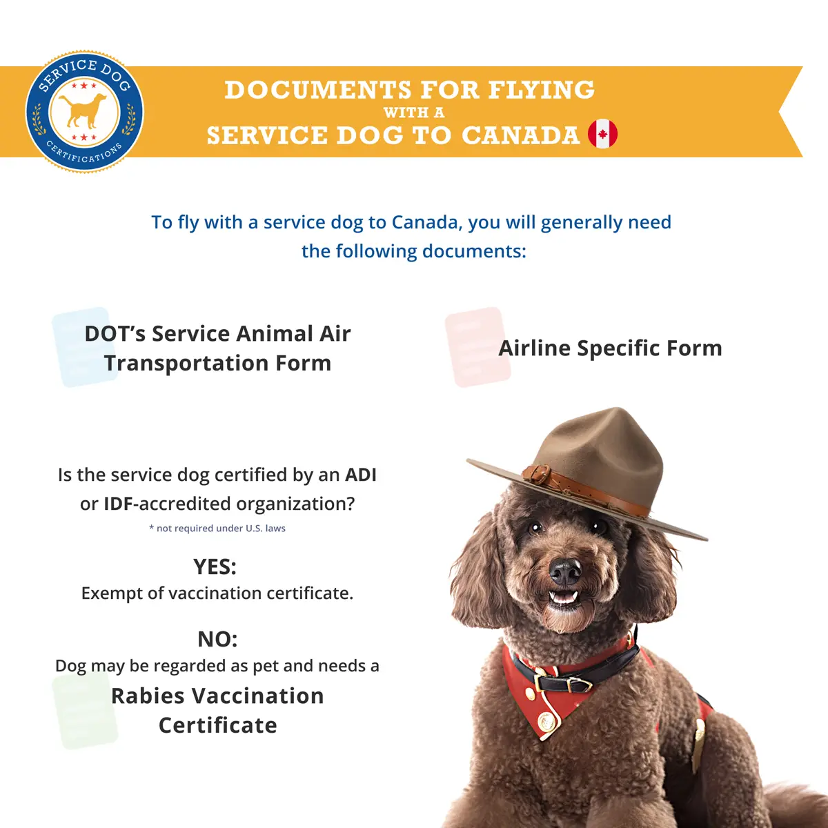 Documents for flying with a service dog to Canada - Infographic