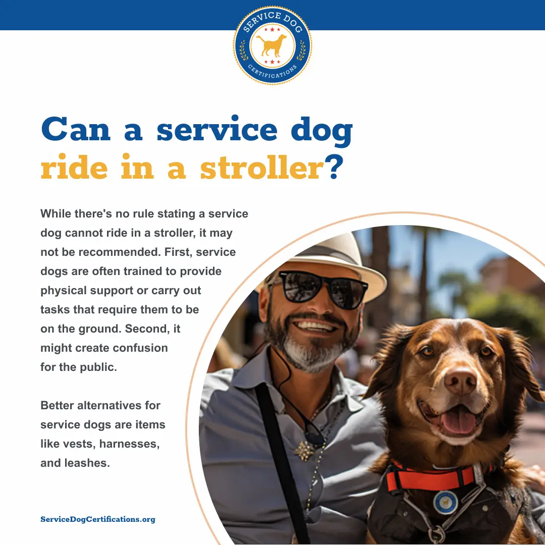 Can a Service Dog Ride in a Stroller?