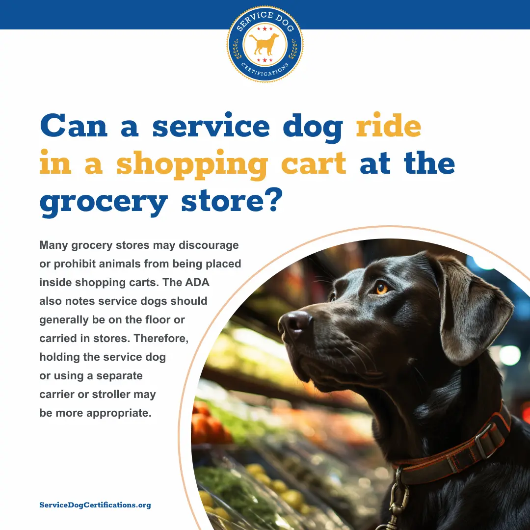 Can a service dog ride in a shopping cart at the grocery store?
