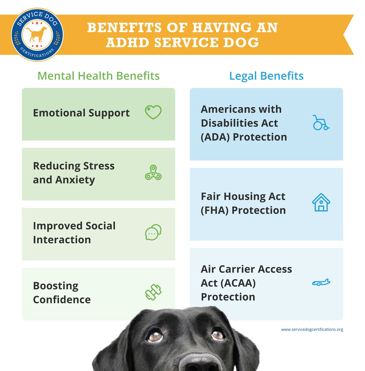 Benefits of Having an ADHD Service Dog - Infographic