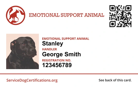 Emotional support dog deals identification