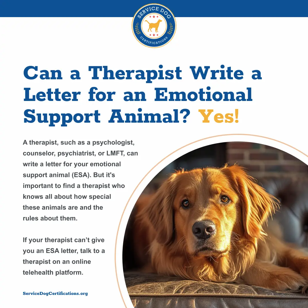 Can a Therapist Write a Letter for an Emotional Support Animal? Yes!
