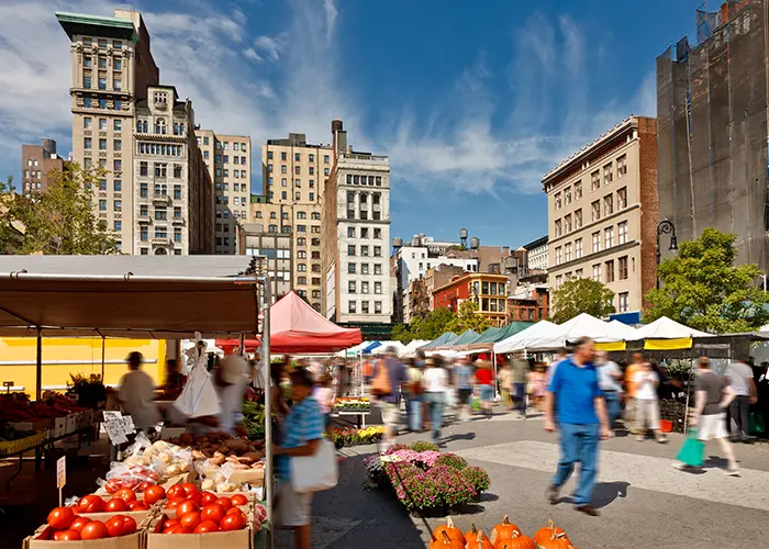 Visiting Union Square Greenmarket farmers market in New York with your dog