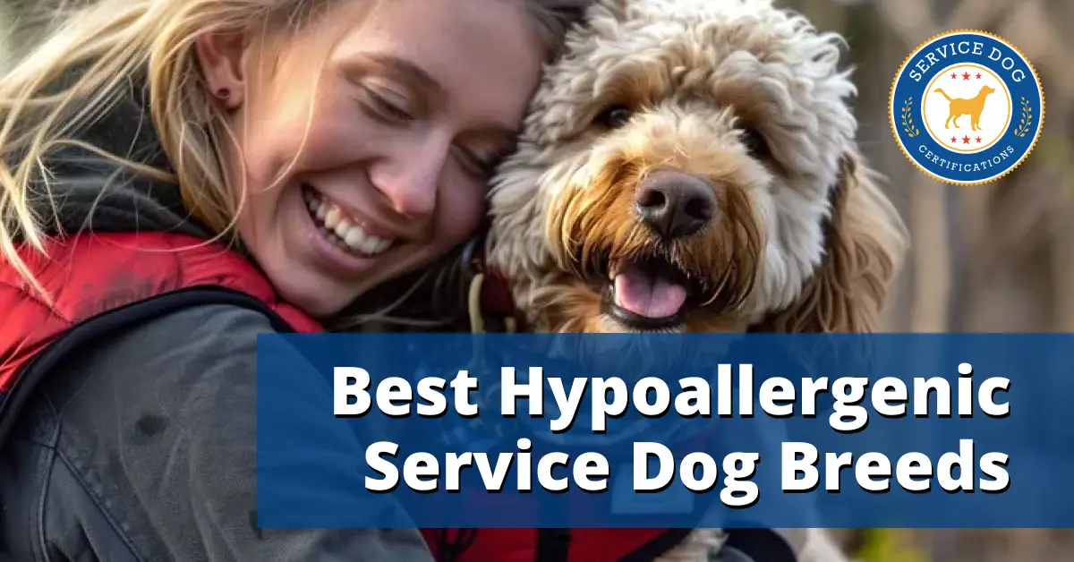 The Best Hypoallergenic Service Dogs