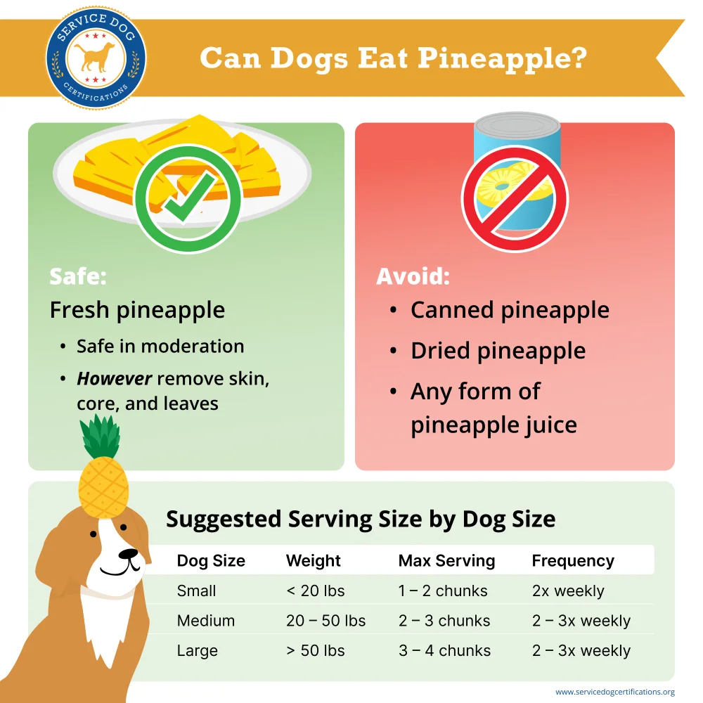 Can dogs eat pineapple? - Infographic