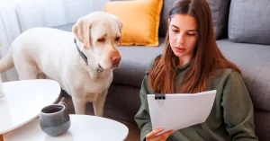 Best Pet Health Insurance Providers
