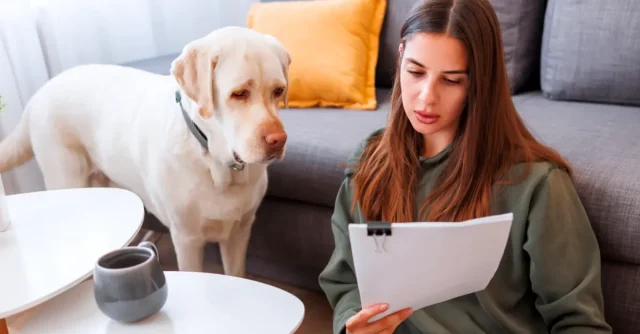 Best Pet Health Insurance Providers