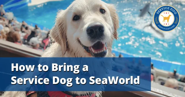 How to Bring a Service Dog to SeaWorld