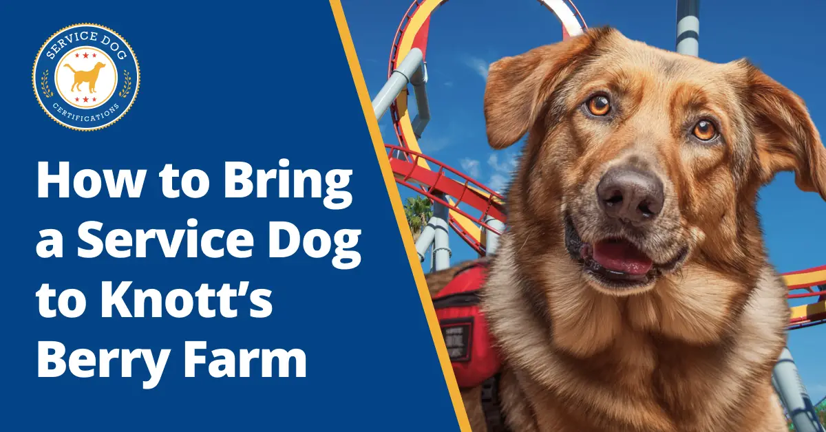 How to Bring a Service Dog to Knott’s Berry Farm