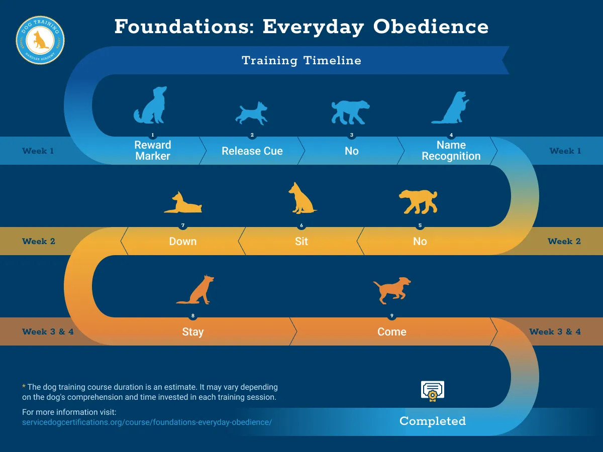 Everyday Obedience Course - Training Timeline