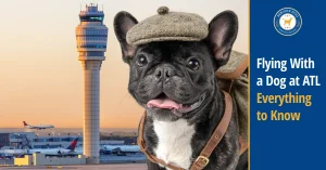 Atlanta International Airport Dog Travel Guide