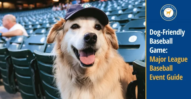 Dog-Friendly Major League Baseball Games