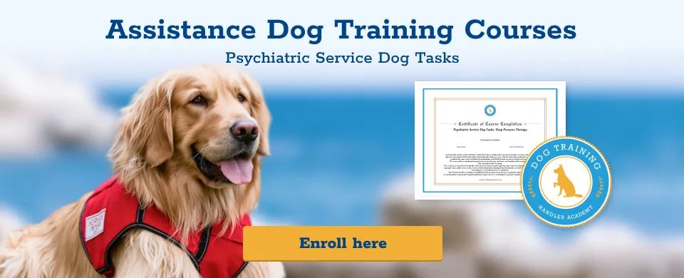 Assistance Dog Training Courses