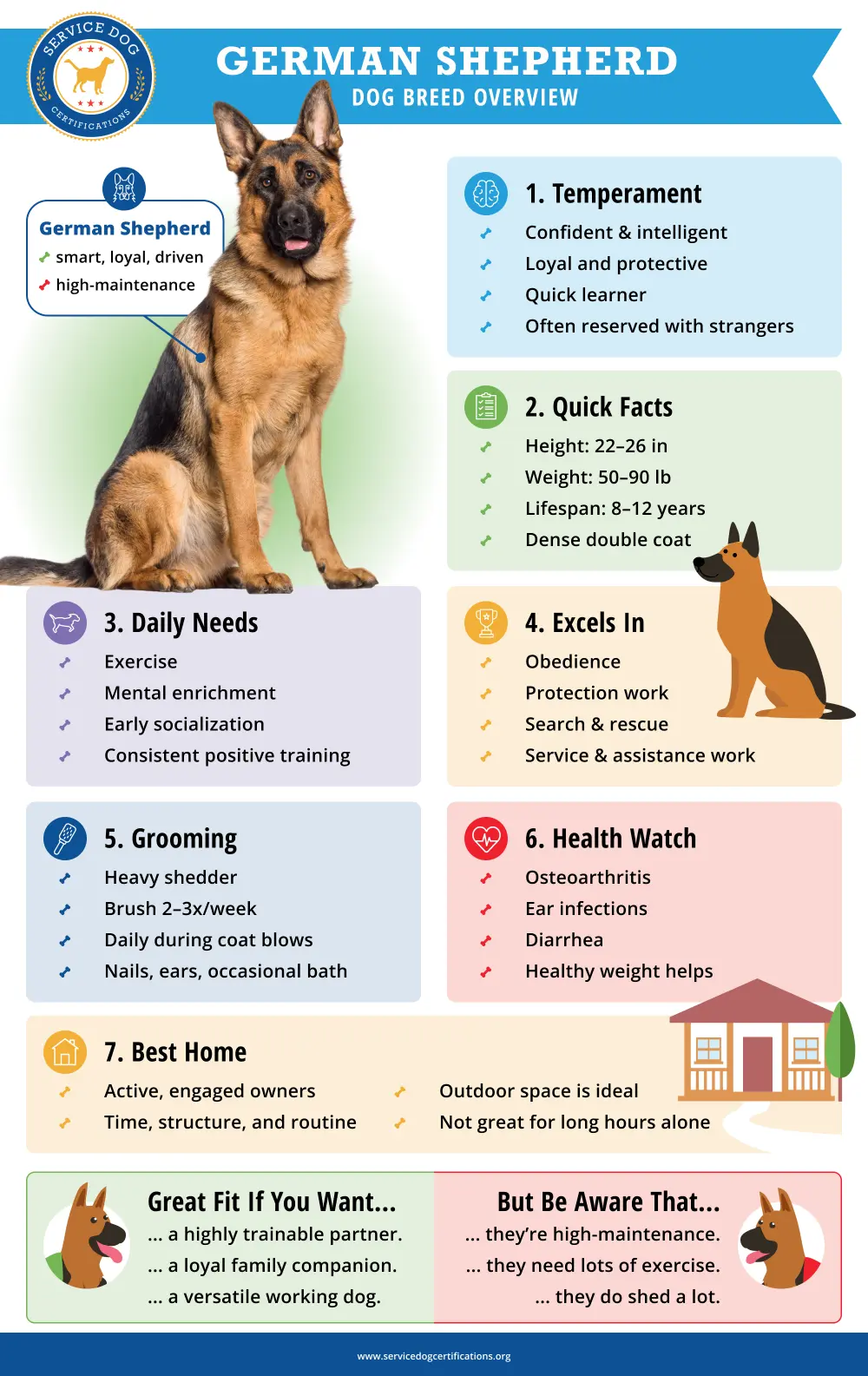 German Shepherd Dog Breed Overview