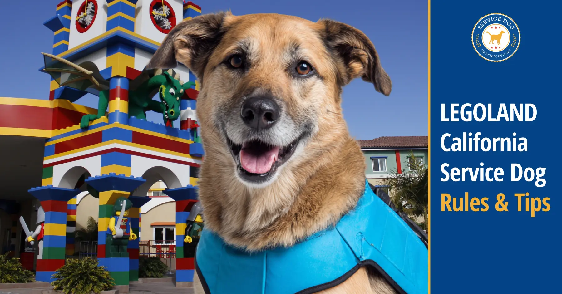 How to Bring a Service Dog to LEGOLAND California
