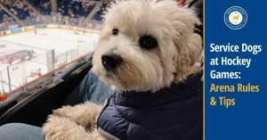 Can You Bring a Service Dog to a Hockey Game?