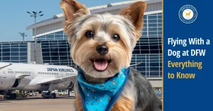 DFW Airport Dog Travel Guide: Relief Areas, Parking, and Pet Policies