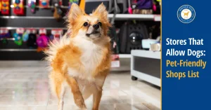 Dog-Friendly Stores