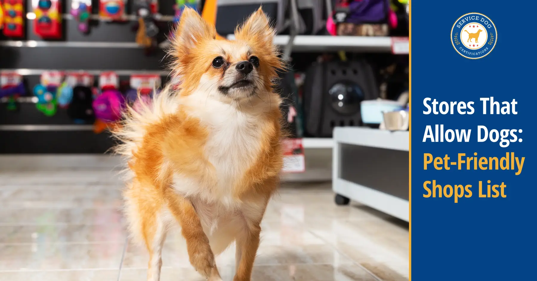 Dog-Friendly Stores