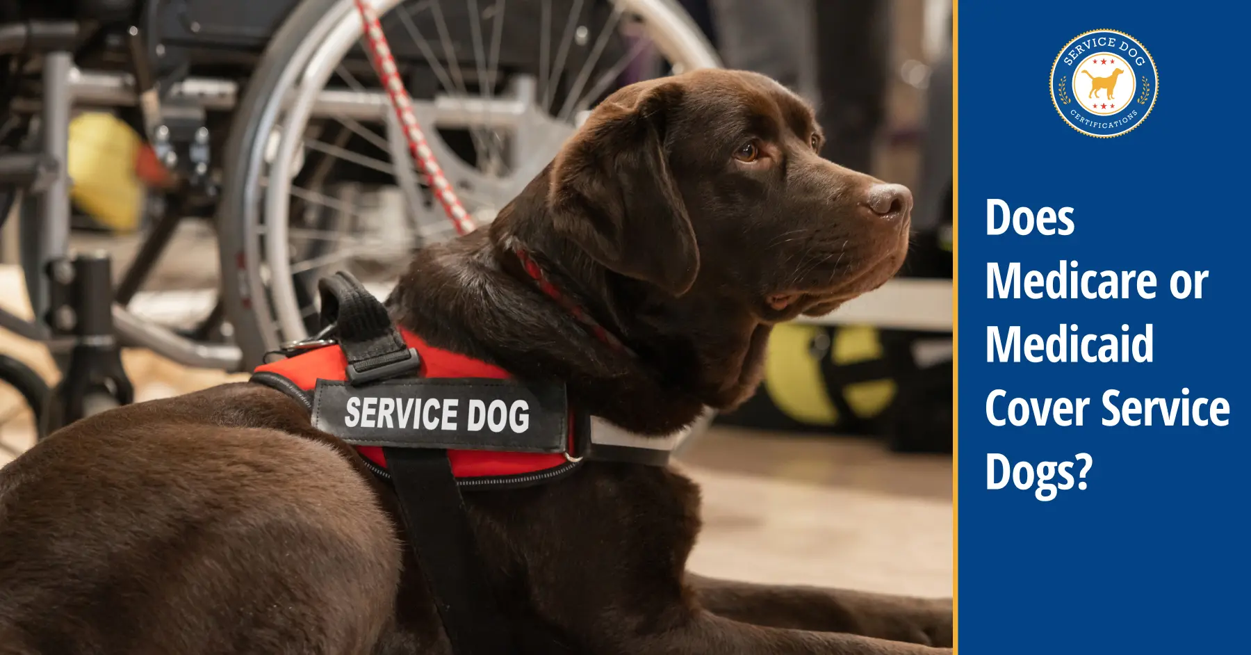Will Medicare Pay for a Service Dog?