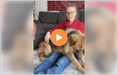 Video instructions