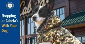 Are dogs allowed in Cabela's?