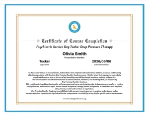 Service Dog Training Certification